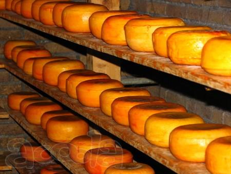 Некондиционная сырная продукция в Твери